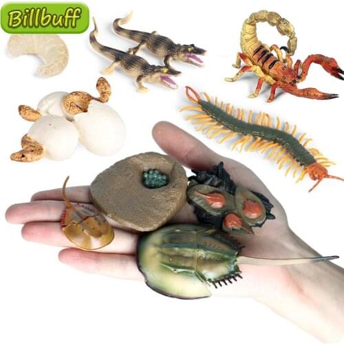 4pcs Simulation Wild Animals ABS Centipede Horseshoe Crab Snake Model Figures Collection Cognition Educational Toys for Children