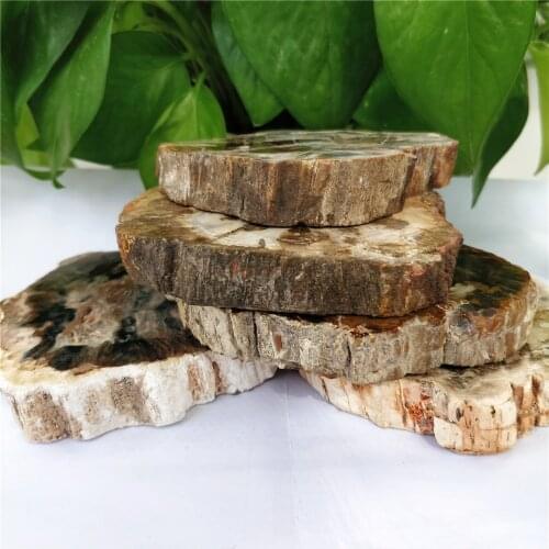 Wholesale Natural Raw Woodstone Slice Rough Wood Fossil Slab Coaster For Home Decorations