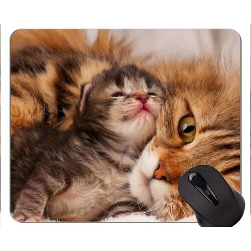 Mouse Pad with Stitched Edge,Kitten animal cute love cat face Home Office Computer Accessories Mousepads