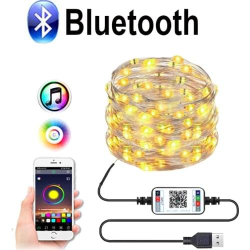 Christmas Lights Outdoor Bluetooth LED String Garden New years garland Decoration USB Festoon led light Holiday lighting