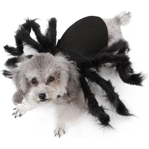 Limit 100 dogs coat Halloween