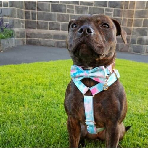 Adjustable Pet Dog Racer chest strap Dog Cat Puppy Harness For Small Medium Large Dogs Cats Chihuahua Pug Harness Dog Supplies