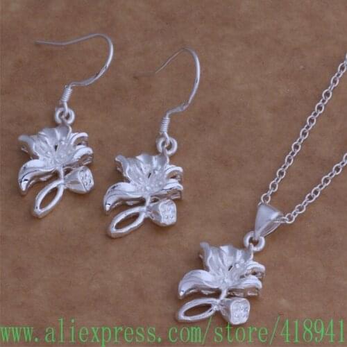 Silver Plated Jewelry Sets Earring 031 + Necklace 026 /dwpamnwa axrajoya AS013