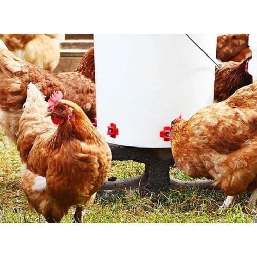 Automatic Chicken Feeding Water Dispenser Chicken Water Dispenser Mouth Horizontal Side Mount Chicken Waterer Red Nipple Waterer