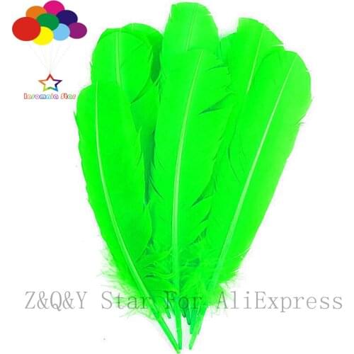 Natural 25-30CM Turkey Nest Forest Feather Dyeing Fruit Green DIY Craft Accessories Feather