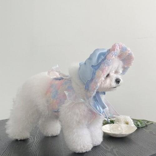 Rose Embroidery Pet Dog Hat Color Yarn Bow Dog Hat For Puppy Small Dogs Girl Chihuahua Dog Accessories Dream Cap Perro