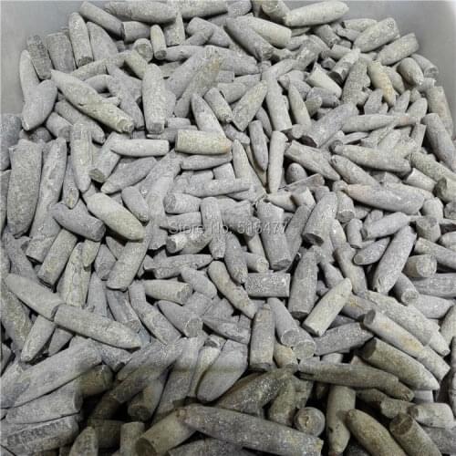 1000g(2.2lb) Natural Rare The arrow fish fossil specimens (Belemnoidea)