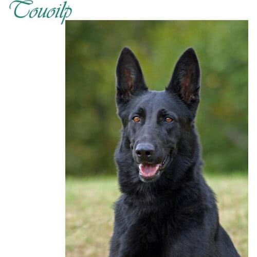 DIY 5d diamond painting black German Shepherd full dog diamond embroidery square&round diamond mosaic full paste pattern Beads