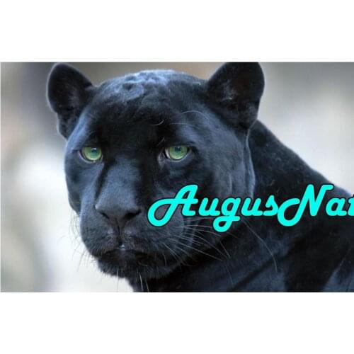 Animal diamond painting panther 5d daimond embroidery full round leopard daimont painting bead puzzle picture diamant draw decal