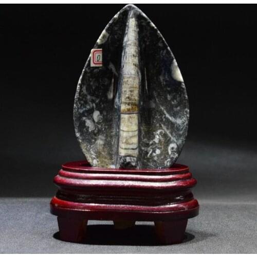 Atural Moroccan right Angle fossil home personality decorations degaussing purification