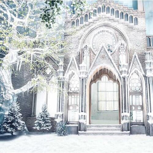 Dreaming Castle Vinyl Backdrop for Photography Snow Winter Scenic Background Cloth 200x300cm fundo fotografico para estudio