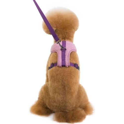 Pet Accessories Dog Traction Rope Chest Strap Comes with Double Buckle Pet Supplies Adjustable Tightness Strap