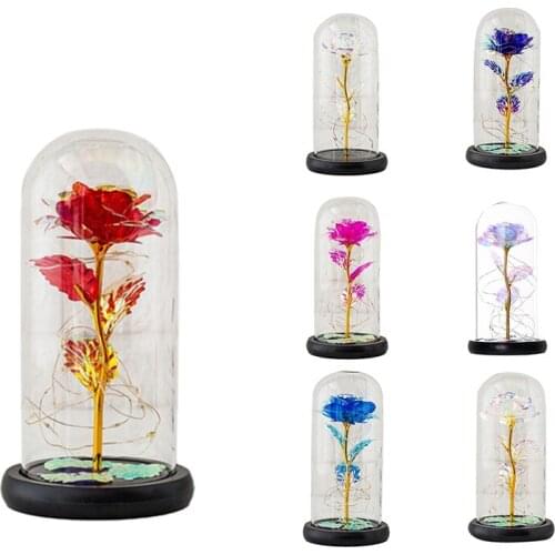 Immortal Flower Glass Cover Rose Glass Cover Luminous LED Valentines Day Mothers Day Gift