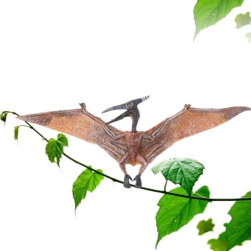 Pterodactyl Dinosaur Action Figure Toys Hand Puppet Kids Educational Model-M15