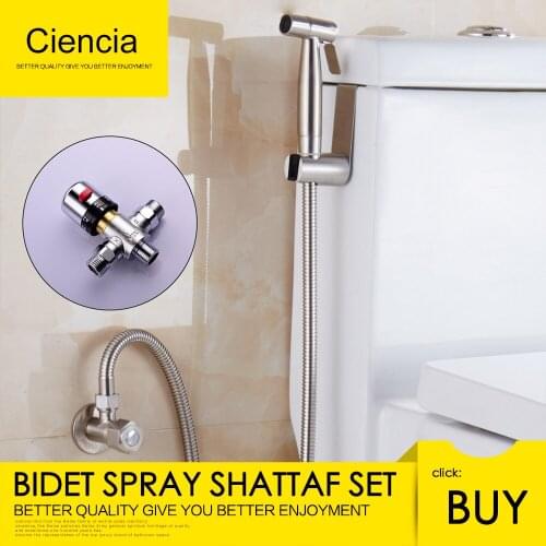 Free Shipping SUS304 Stainless Steel Nickle Bathroom Handheld Bidet Shattaf Spray Bidet Vaporizer with Thermostatic valve