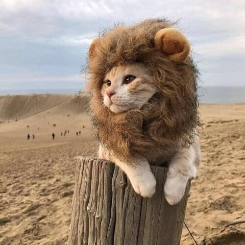 Wig Emulation Lion Hair Mane Ears Head Cap for Pet Cat Dog Dress Up Costume Halloween Christmas Clothes Fancy Dress