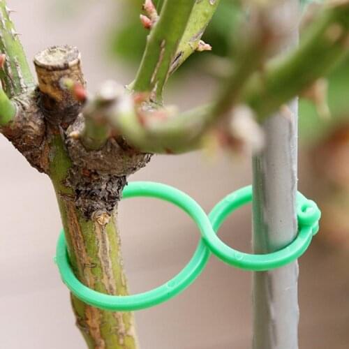 50Pcs Plant Support Clips High Toughness Lightweight Bent Freely Plastic Flower Lever Stems Gripper Clip for Home Accessories