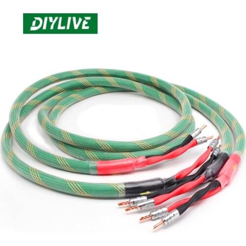 DIYLIVE Hi-Fi Specials USA Rough 4-core McIntosh Fever Speaker Line Audio Speaker Line High and Bass Double Split