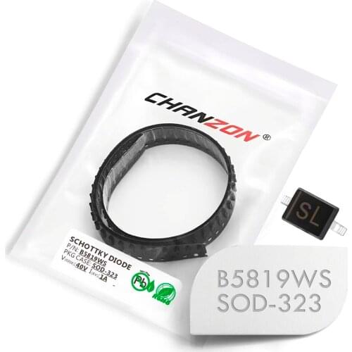 100 Pcs) B5819WS SMD Schottky Barrier Rectifier Diodes 1A 40V SOD-323 (SC-76) 1 Amp 40 Volt (Marking SL)