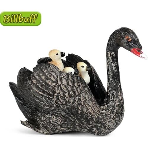 New Simulation Wild Animal Black Swan Cub Model Toy PVC Action Figures Collection Model Children Cognitive Educational toys Gift