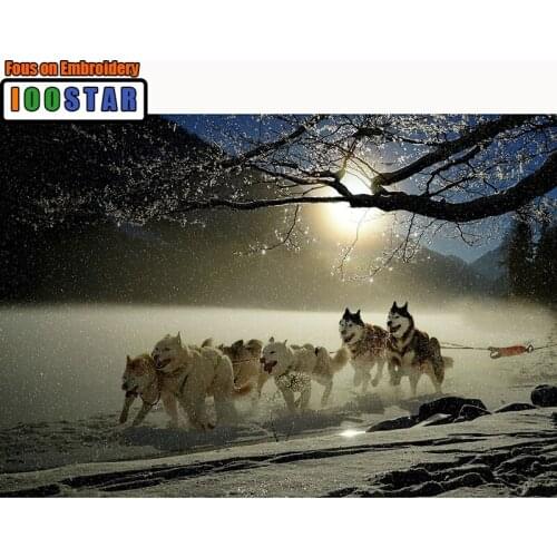 100% Full 5D Diy Daimond Painting Cross-stitch "Wolf Dogs" 3D Diamond Painting Full Round Rhinestones Paintings Embroidery Gifts