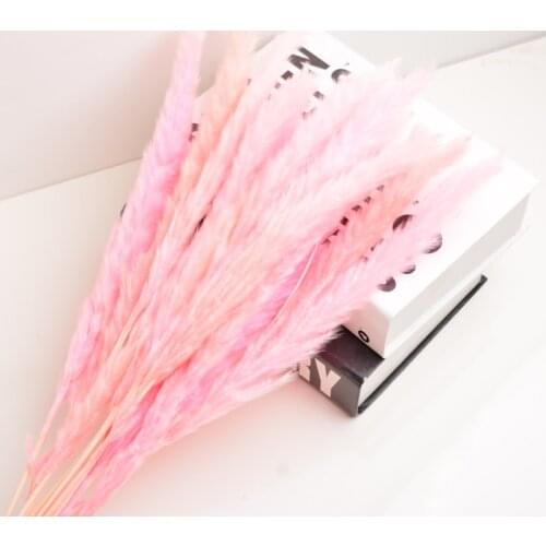 15Pcs Artificial Pampas Grass Dried Pampas Flowers Grasses Home Wedding Artistic Flowers Bundle Wreaths White/Pink