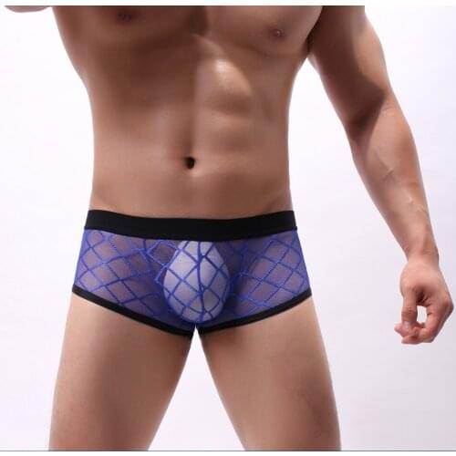 Sexy Breathable Thin Boxer Men Mesh Transparent See Through U-convex Underwear Lingerie Gay Low Rise Underpants