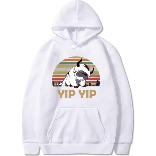 Funny Anime Avatar The Last Airbender Hooded Sweatshirt Men Women Kawaii Cartoon Appa Yip Yip Letter Print Winter warm Hoodies