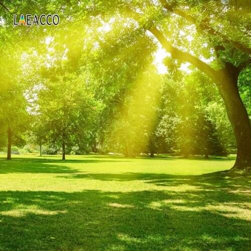 Laeacco Spring Scenery Photophone Forest Green Trees Sunshine Grassland Baby Portrait Photo Backdrops Photography Backgrounds