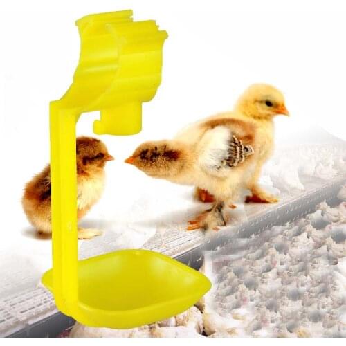 Poultry Drinking Fountains Drinking Fountain Chicken Supplies