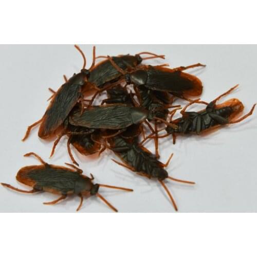 500PCS Special Lifelike Model Simulation Fake Rubber Cockroach Cock Roach Bug Roaches Baby Toy