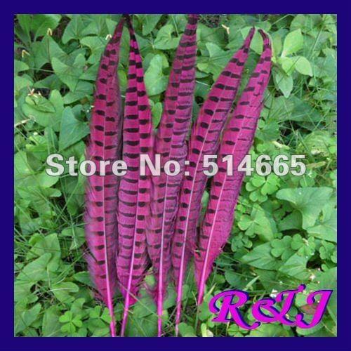 Wholesale pheasant feathers 50PCS 25-30cm 10-12 inch fushia pheasant feather tail Free Shipping
