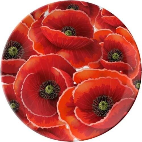 Red Flowers Corn Poppy Bespread Dessert Plate Decorative Porcelain 8 inch Dinner Home