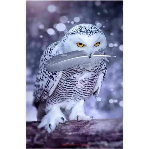 Embroidery Counted Cross Stitch Kits Needlework - Crafts 14 ct DMC Color DIY Arts Handmade Decor - Cool White Owl