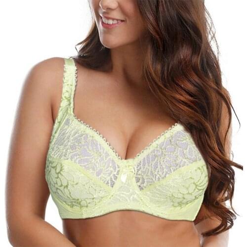 Women Plus Size Bras Perspective Lace Bra Bralette Sexy Lingerie Underwire Underwear Women Unlined Brassiere BH Top B C D DD E F