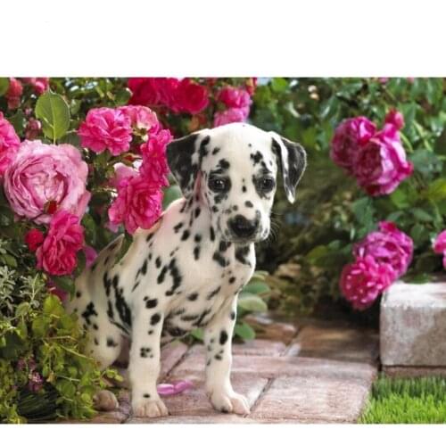 Diy 5d Diamond Painting Cross Stitch Animal dog Dalmatian puppy decoration Art Diamond Embroidery Mosaic Kits Handmade Crafts