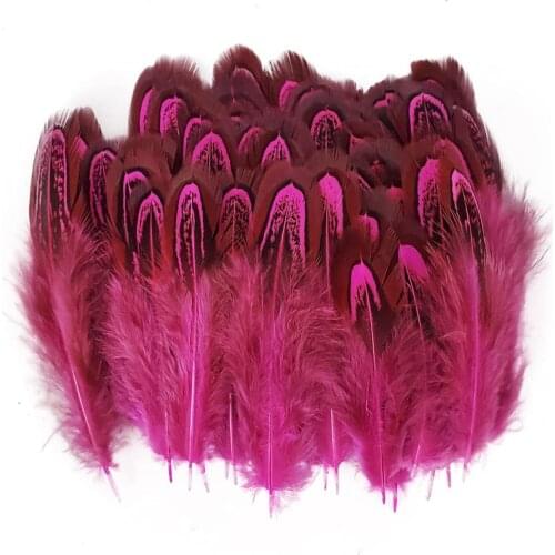 20/100pcs Rose red Pheasant Feathers diy marabou feathers for jewelry making wedding decoration Chicken plumas accessories 4-8CM