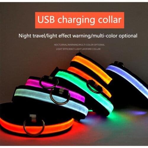 USB Charging Led Dog Collar Anti-Lost For Small Dogs Puppies Chihuahua Pit Bull Leads LED Supplies Pet Products Accessories