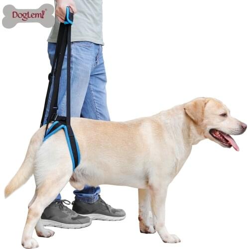 Old Dogs Balance Support Belt Dog Hind Legs Auxiliary Belt for Recovery Disability Leg Brace Hind Leg Help Walking Harness