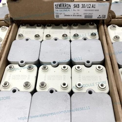 SKB30/12A1 SKB30/08A1 SKB30/14A1 SKB30/16A1 SKB30/04A1 FREE SHIPPING NEW AND ORIGINAL MODULE