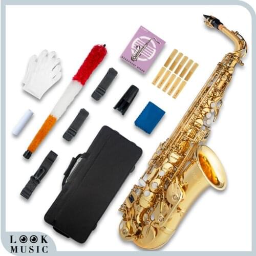 NSA-802 NEW Arrival Alto Eb Tune Saxophone Brass Musical Instrument Gold Lacquer Sax With Case Mouthpiece SET Saxophone Alto