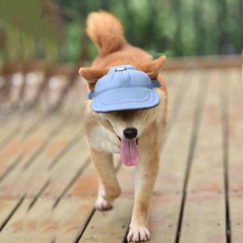 A Cute Summer Pet Dog Hat Cap Outdoor Dog Baseball Cap Canvas Small Dog Sunscreen Accessories Fashion Hiking Pet Products S M L