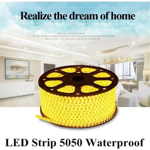 Christmas LED Strip 5050 Waterproof light 110/220V IP66 LED Flexible Strip Power Plug 60leds/m Garden holiday party