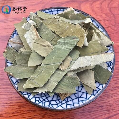 Folium Nelumbinis Lotus Leaf Nelumbo Nucifera Gaertn. He Ye