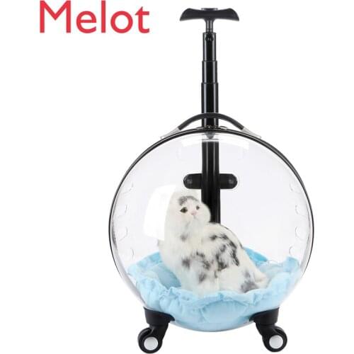 Cat Bag Trolley Case Pet out Portable with Bubble Box Transparent Space Capsule Dog out Luggage Cat Backpack