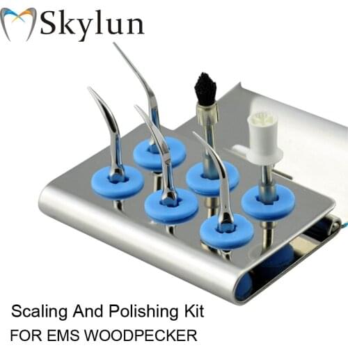 1set Dental Ultrasonic scaler Tip Kit SCALING AND POLISHING KIT SILVER kit Brush Prophy Fit EMS WOODPECKER AT01