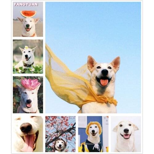 5D Diy Diamond Painting Animals Cross Stitch Cute Dogs Embroidery Mosaic Full Square Round Drill Wall Home Decor Handcraft Gift