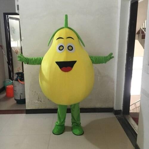 Fruit Mascot Costume Cartoon Apparel Mascot Role Playing Cartoon Clothing Adult Size for Halloween Party Event