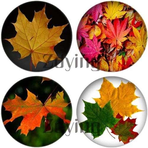 Maple Leaves Leaf Pattern Round Glass Cabochon Dome Demo Flat Back Making Jewelry Findings 10pcs/lot Wholesale