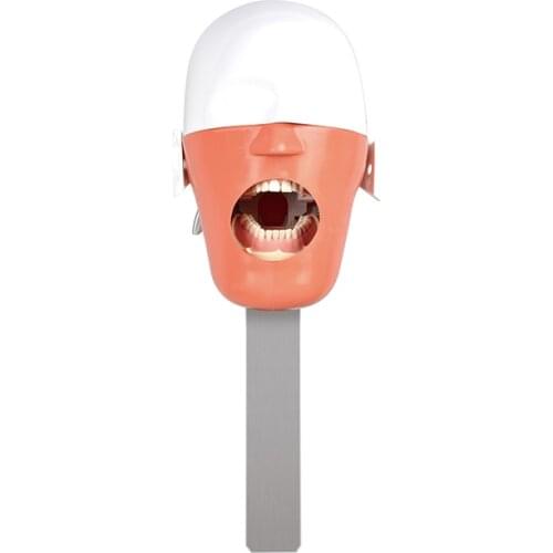 Dental Training Teeth Head Model Dental Phantom Head Simulation Install To Dental Chiar Dentist Practise Model